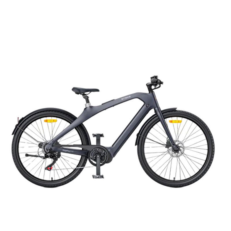 Bicicleta electrica ENGWE E-bike MAPFOUR N1 PRO, 250W, 36V 10Ah, autonomie 100km, viteza maxima 25km/h, Charcoal Gray