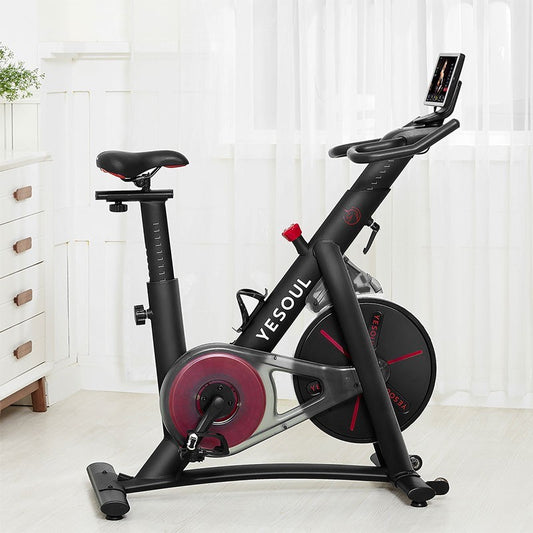 Bicicleta fitness YESOUL S3 Pro Spinning Bike, Black
