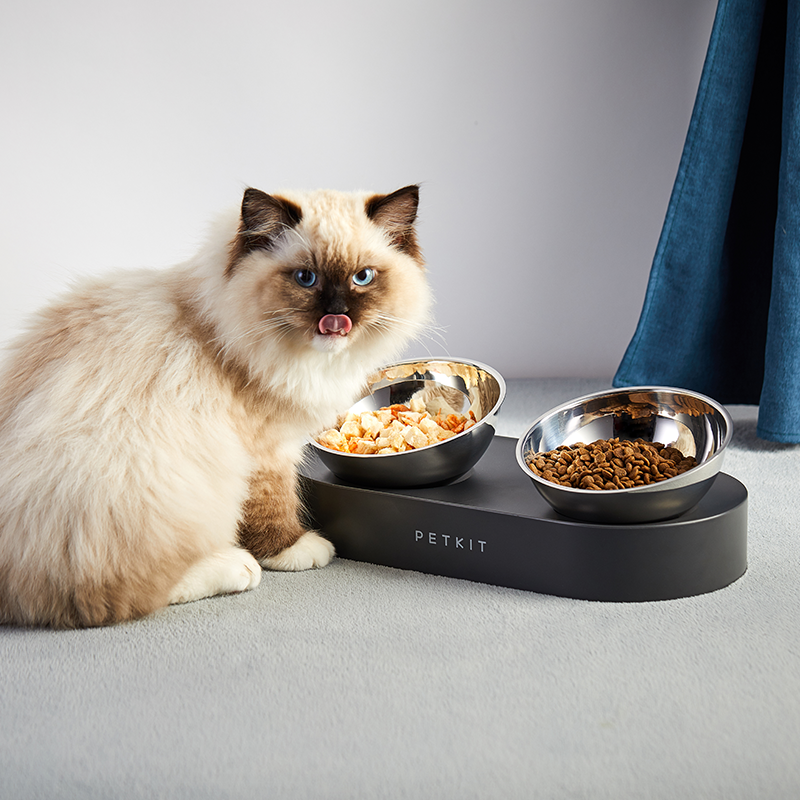 Set 2 Boluri mancare pisici PETKIT Fresh Nano, Cat Feeding Bowl, Metal, unghi 15°, Double