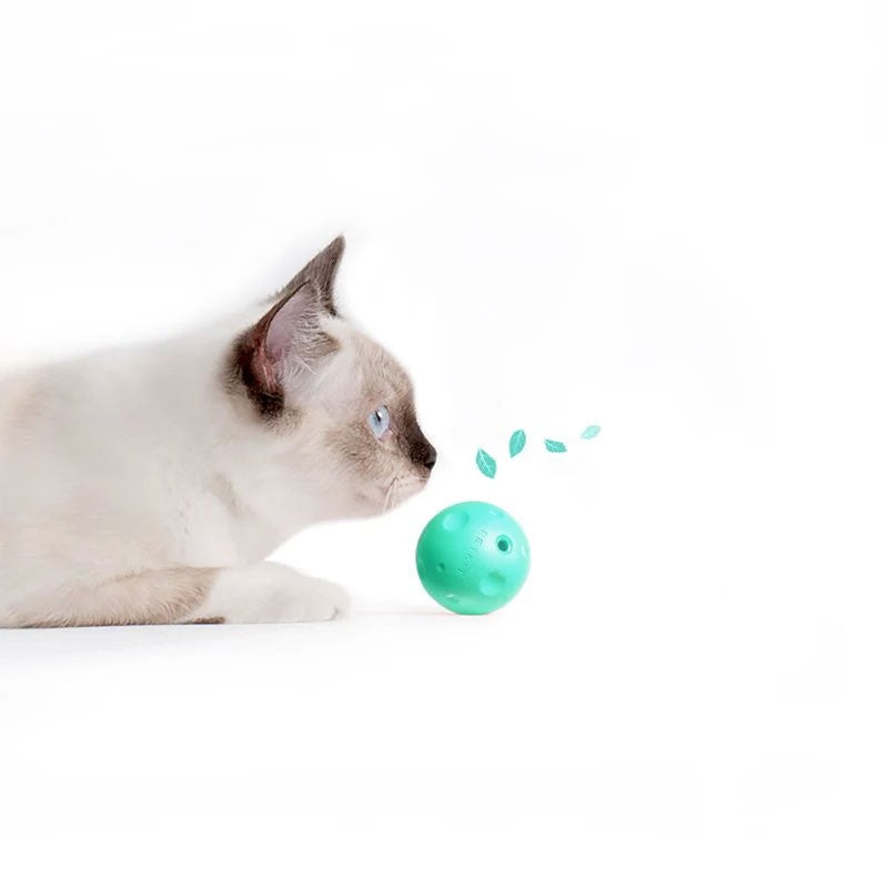 Suport pentru zgariat si joaca, cu iarba pisicii Petkit Cat Scratcher 4 in 1
