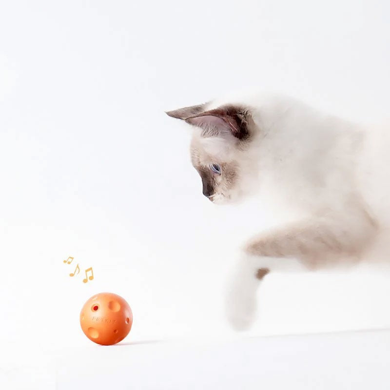 Suport pentru zgariat si joaca, cu iarba pisicii Petkit Cat Scratcher 4 in 1