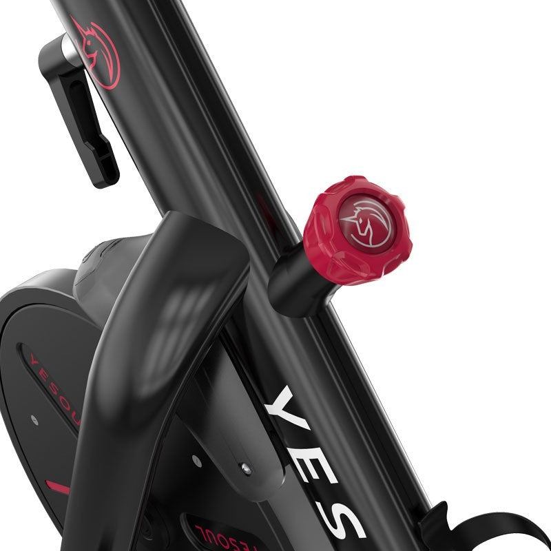 Bicicleta fitness YESOUL S3 Pro Spinning Bike, Black