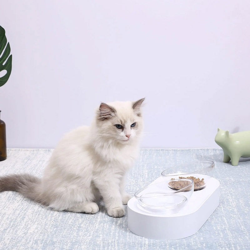 Bol mancare pisici PETKIT Fresh Nano, Cat Feeding Bowl, Double, Transparent