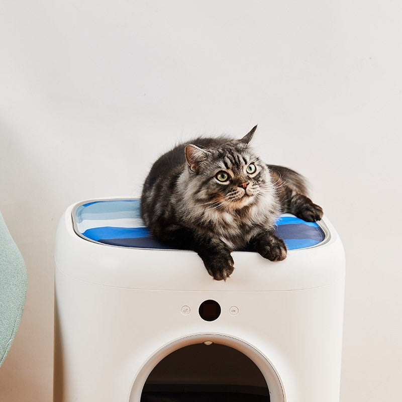 Covoras racoritor pentru pisici PETKIT Cooling Cat Pad, Albastru