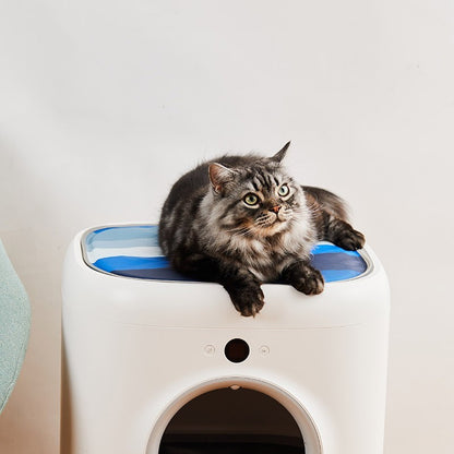 Covoras racoritor pentru pisici PETKIT Cooling Cat Pad, Albastru