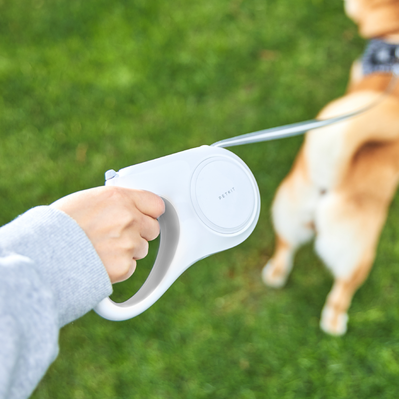 Lesa retractabila pentru caini Petkit Go Free, 4.5 m