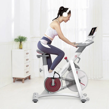 Bicicleta fitness YESOUL Spinning Bike S3, White